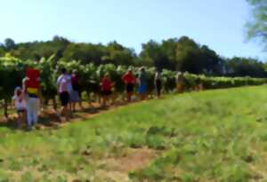 Marche gourmande et visite de ferme