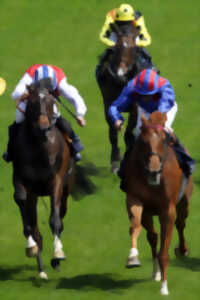 Course hippique