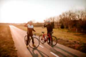 Sortie vélo route