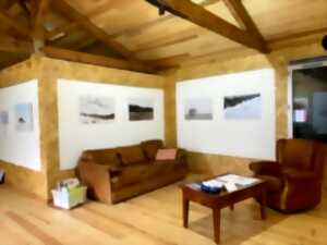 photo Exposition d'Irène Quesnay
