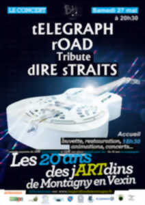 Concert Telegraph Road - Tribute Dire Straits