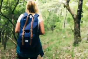 photo Rando pédestre à thème : l'Apiculture