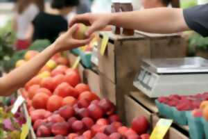 photo Marché de Scey-sur-Saône et Saint Albin