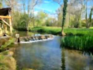 photo Balade à vélo - Les Lavoirs de l'Aillantais
