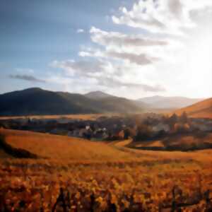 Exposition : l'Alsace le jour et la nuit par Vincent HALTER