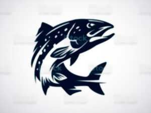 photo Journée de pêche à la truite