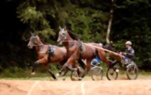 Découverte du trot aux écuries Aurmath