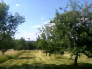 FESTIVAL DU PATRIMOINE NATUREL - ENTRE PRAIRIES, HAIES ET PRÉ-VERGERS