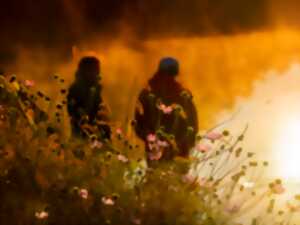 photo La vie aquatique