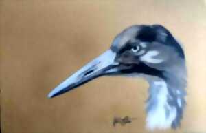 photo Exposition Festival de l'Oiseau