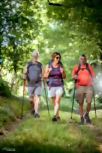 photo Randonnée dans la tiédeur de fin d'après-midi 