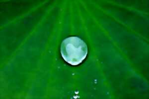 photo ''De l'Eau d'Ici à l'Eau de Là'' : ‘’Abracada’Eau’’