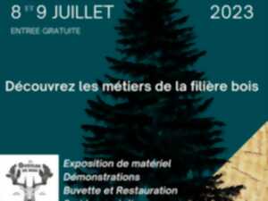 photo Fête du bois