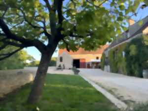 photo Bar à vin estival