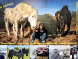 photo Gueuleton vigneron et démonstration de cheval de trait au château Chasserat