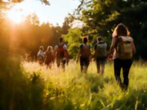 photo Marche du terroir
