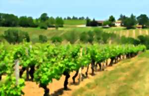 photo Domaine de Grange Neuve | Vign'en plage