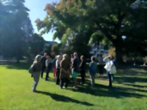 Les rendez-vous des patrimoines - Des essences du parc Lawrance aux instruments de musique