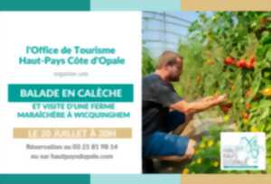 BALADE EN CALÈCHE et visite d'une ferme maraîchère
