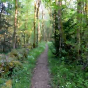 photo Rando Pas-Cap - VTT, cyclo et marche