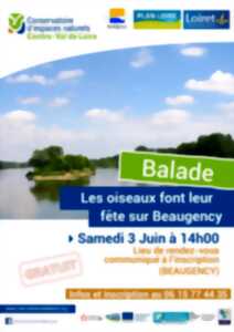 Balade nature : des oiseaux et des îles