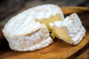 photo Dégustation de fromages