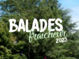 BALADES FRAICHEUR 2023 - CONTRÉES DE MOUSSES ET DE LICHENS