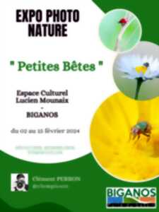 Exposition photos