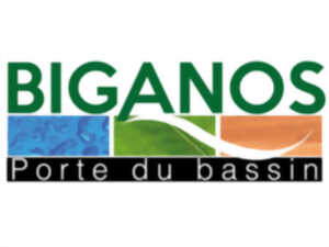 Exposition de voitures anciennes
