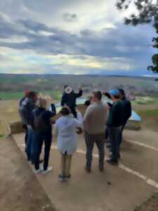 photo Balade commentée dans le vignoble de Chablis