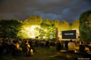 CINÉMA DE PLEIN AIR : NENEH SUPER STAR