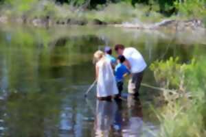 Les 3 eaux de Saint Brice