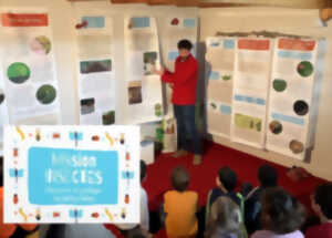 Exposition : Mission insectes