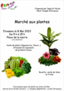 Marché aux plantes