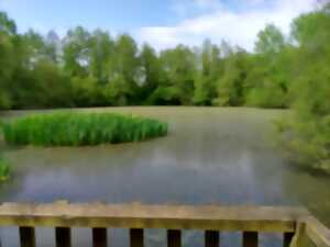 Découverte de la faune des berges de l'Arlas