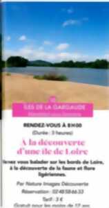 A la découverte d'une île de Loire