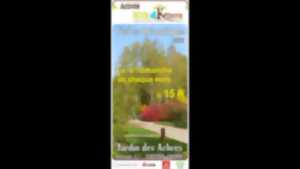 Visite guidée thématique du Jardin des Arbres 