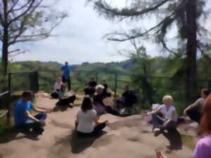 Yoga en forêt