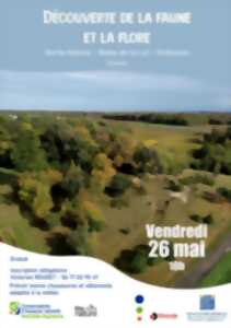 Découverte de la faune et la flore de la Butte de la Lot