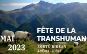 Fête de la Transhumance