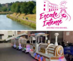 Balade en petit train électrique