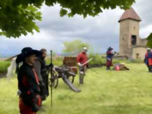 photo Journées Européennes du Patrimoine au Château de Chevreaux
