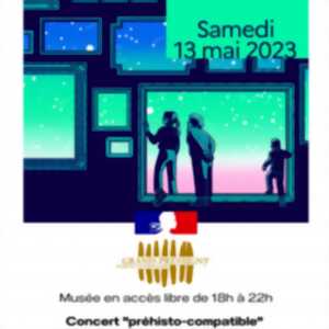 Nuit des musées : concert