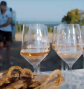 Pique-nique chez le vigneron