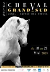 SALON DU CHEVAL GRAND SUD