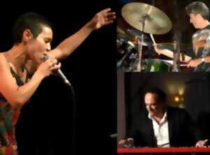 photo LES CONCERTS AU JARDIN DE L'HÔTEL FAYET - DOUNIA ARSSI TRIO