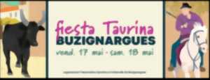 FIESTA TAURINA