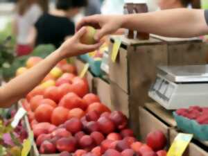 MARCHÉ NOCTURNE