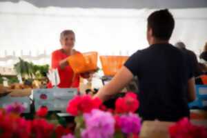 REPAS PAËLLA & MARCHÉ DE PRODUCTEURS