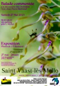 Balade et exposition sur les orchidées